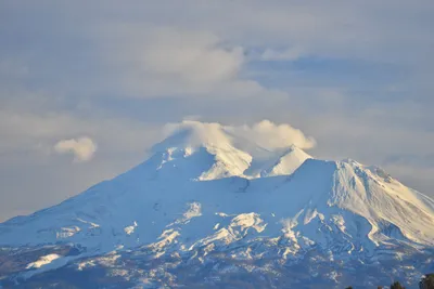 DSC_6017 (Large).JPG